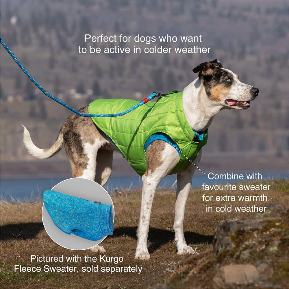 Kurgo Loft Dog Jacket reflective trim boosts visibility on dawn or dusk walks.