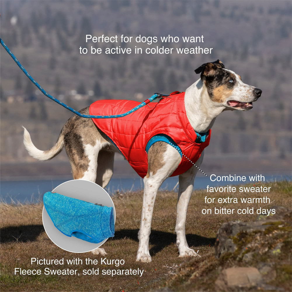 Kurgo Loft Dog Jacket highlighting reflective trim for enhanced visibility.