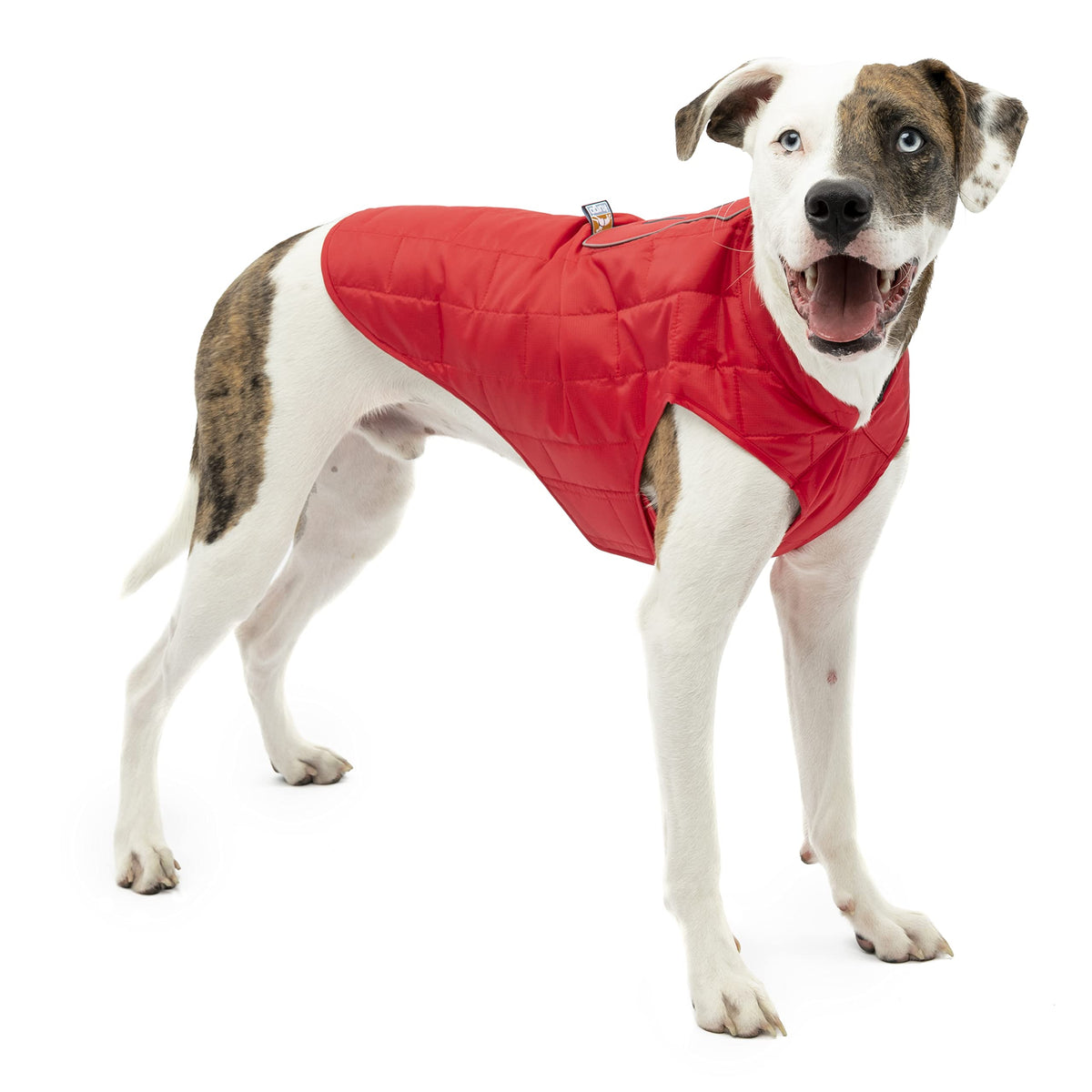Kurgo Loft dog jacket reversible design for versatile weather-ready style during walks.