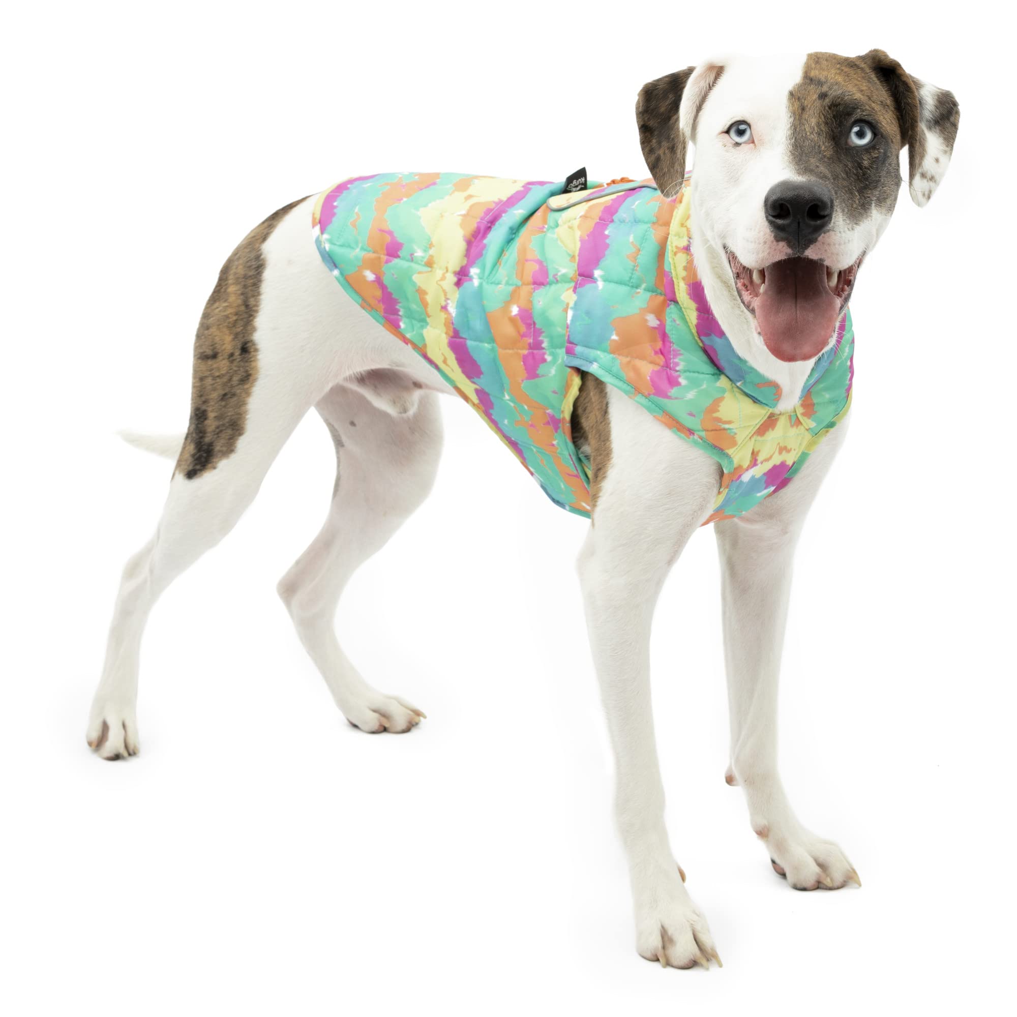 Kurgo Loft Dog Jacket reversible design offers two color options for versatile outdoor style.