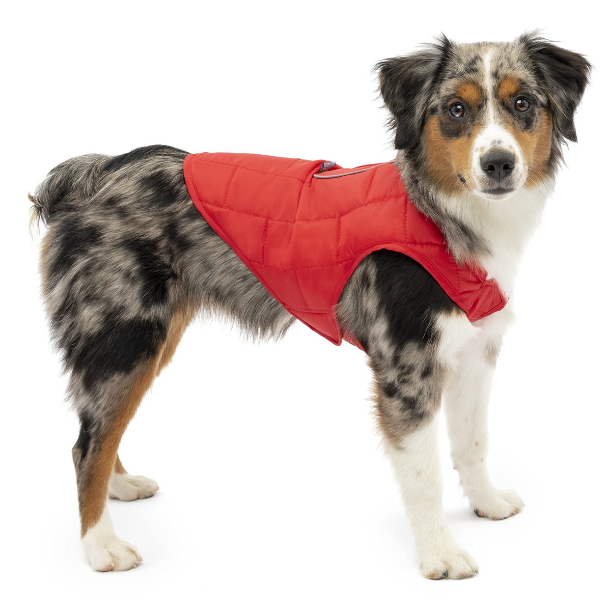Kurgo Loft Dog Jacket winter-warmth keeps active dogs comfy on chilly strolls.
