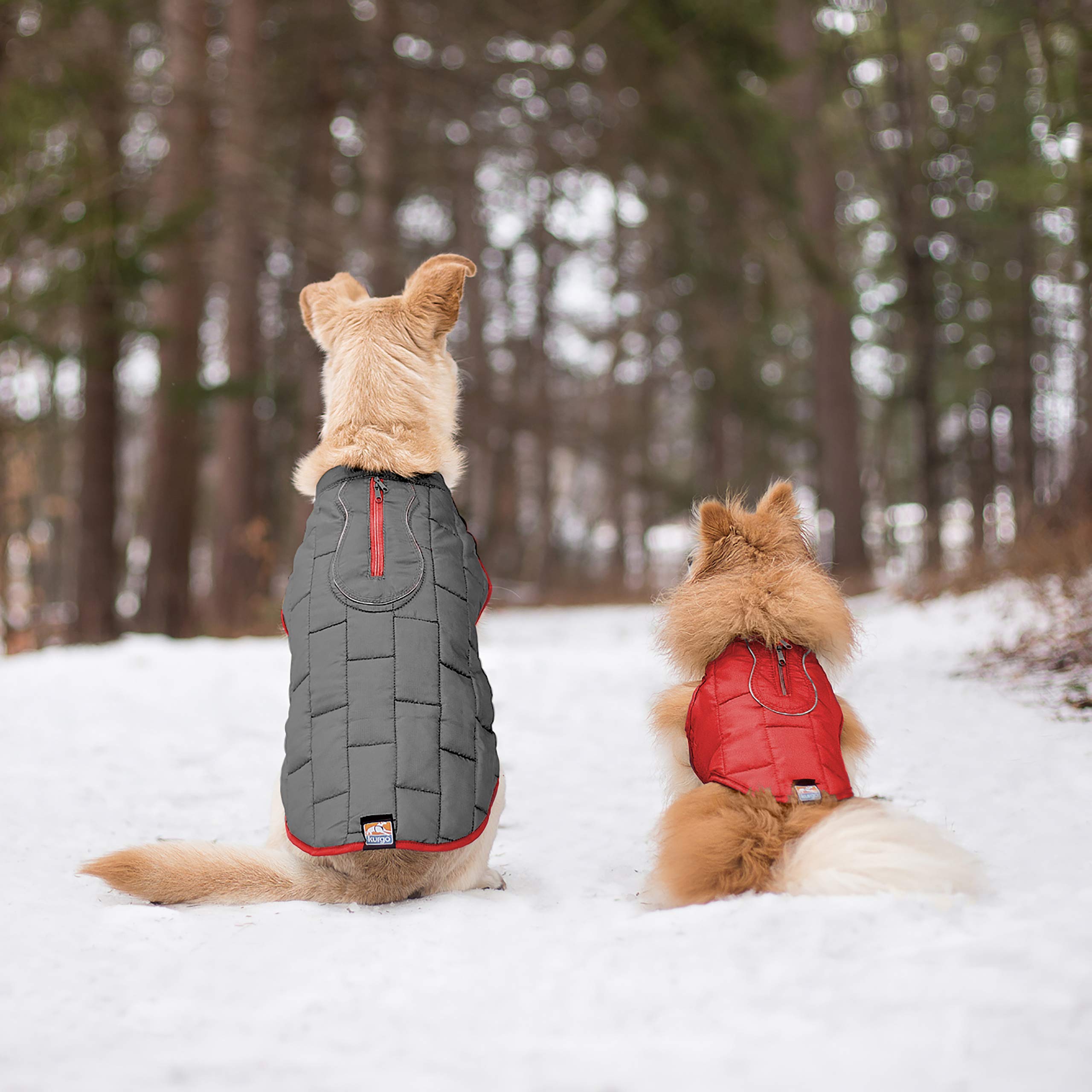 Kurgo Loft machine-washable coat for quick cleanup after muddy adventures.