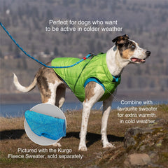 Kurgo Loft reflective accents enhance visibility on early morning outings.