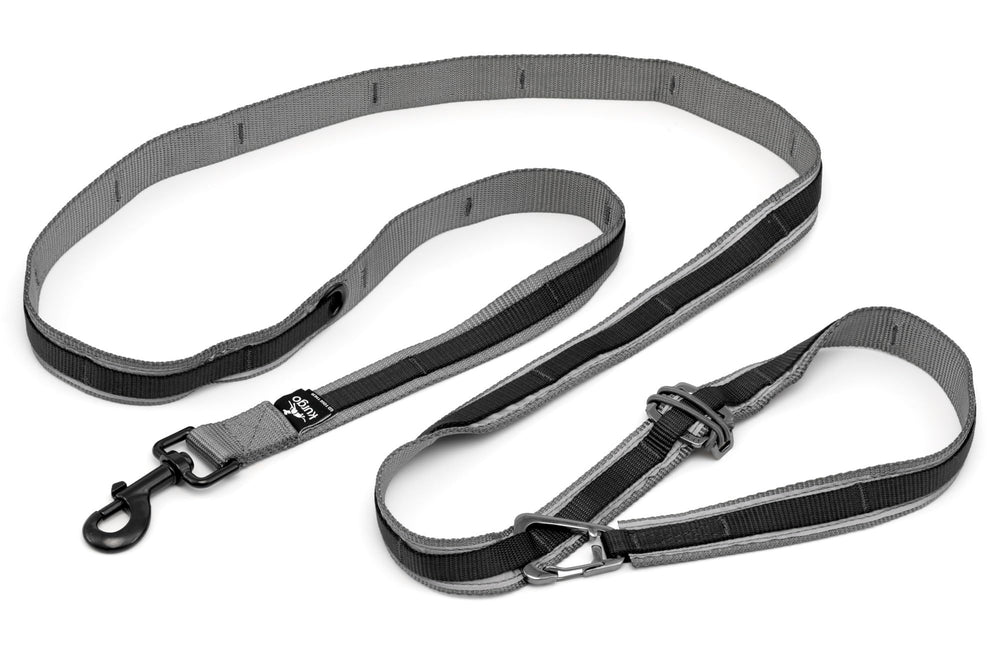 Kurgo Quantum 6-in-1 leash in 6 ft walk mode for easy, controlled strolls.