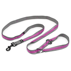 Kurgo Quantum Leash 6-foot lead for everyday walking and training