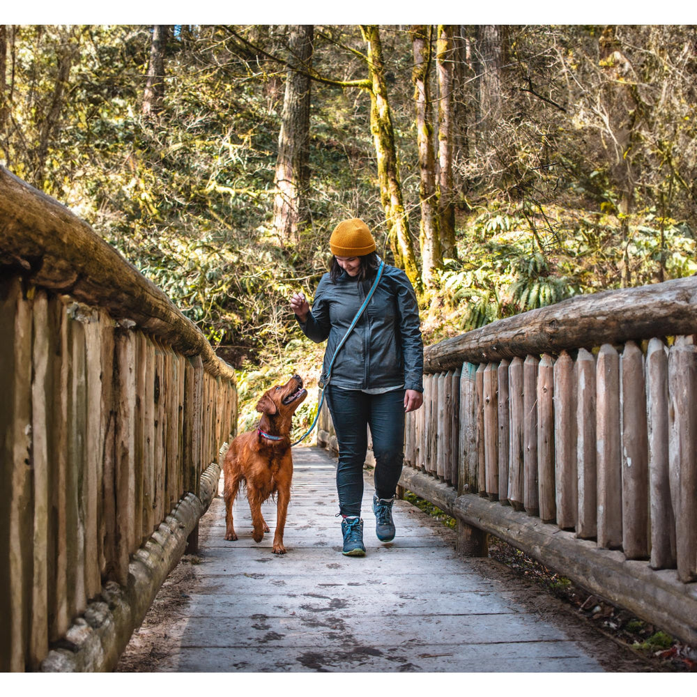 Kurgo Quantum Leash Web Keeper with extra-stretchy bungee