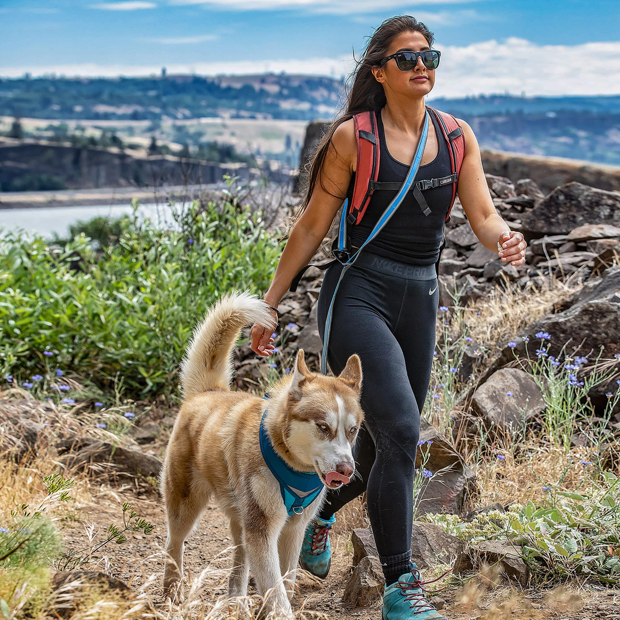 Kurgo Quantum reflective straps enhance visibility during dusk walks.