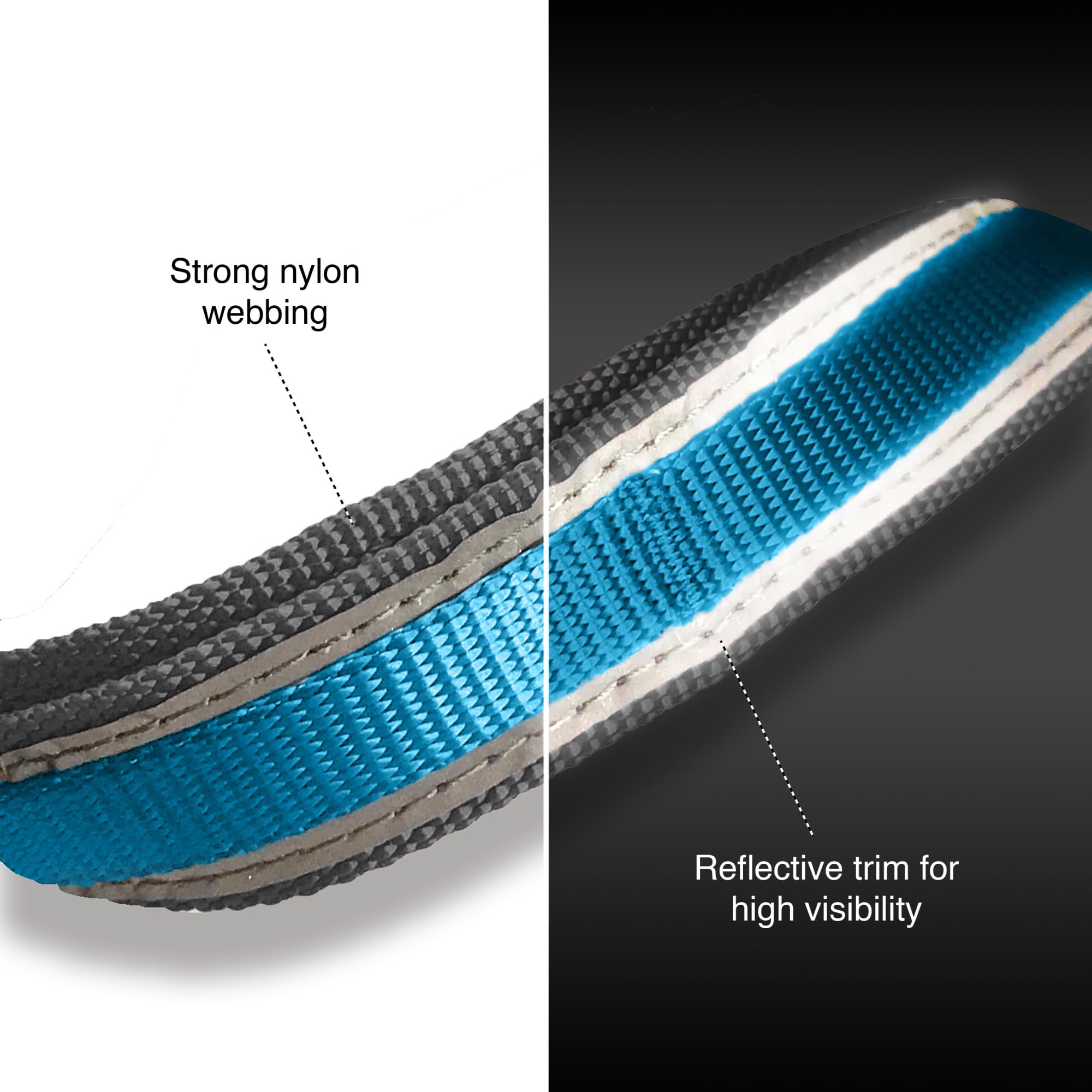 Kurgo Quantum training leash in 3-foot mode for controlled sessions.