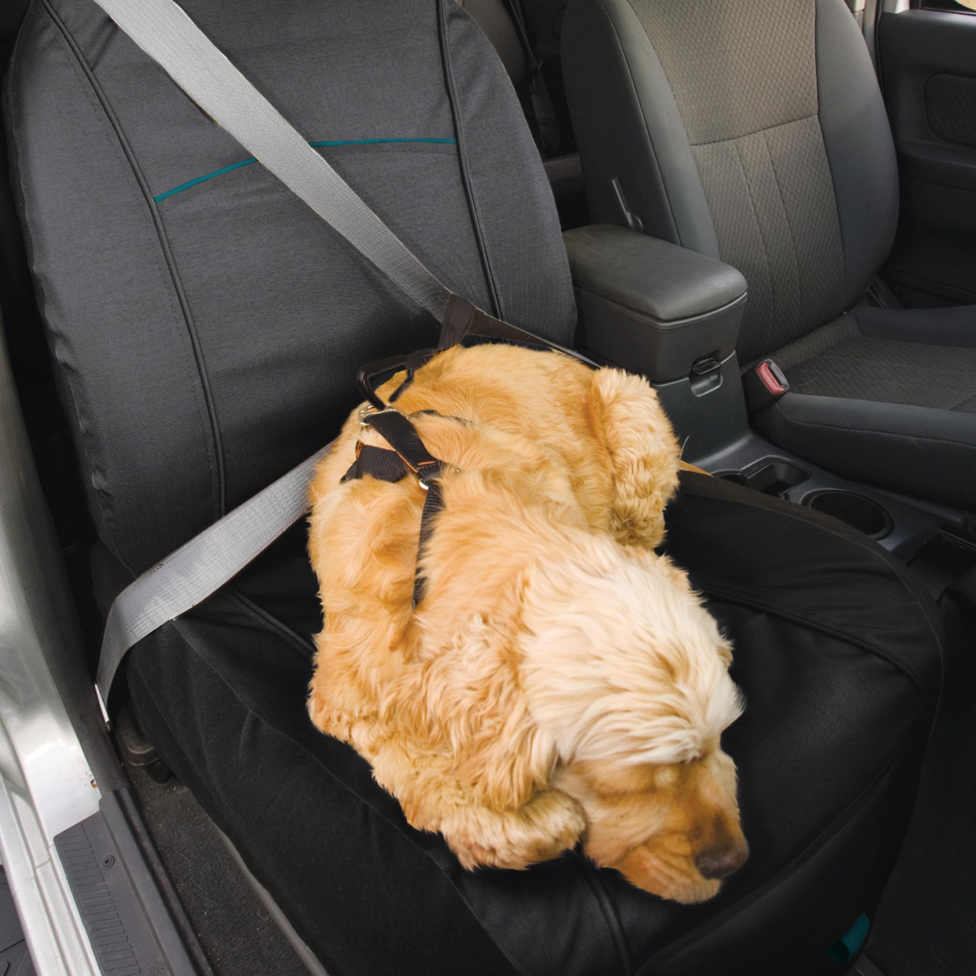 Kurgo Rover bucket seat cover folds for compact storage when not in use.