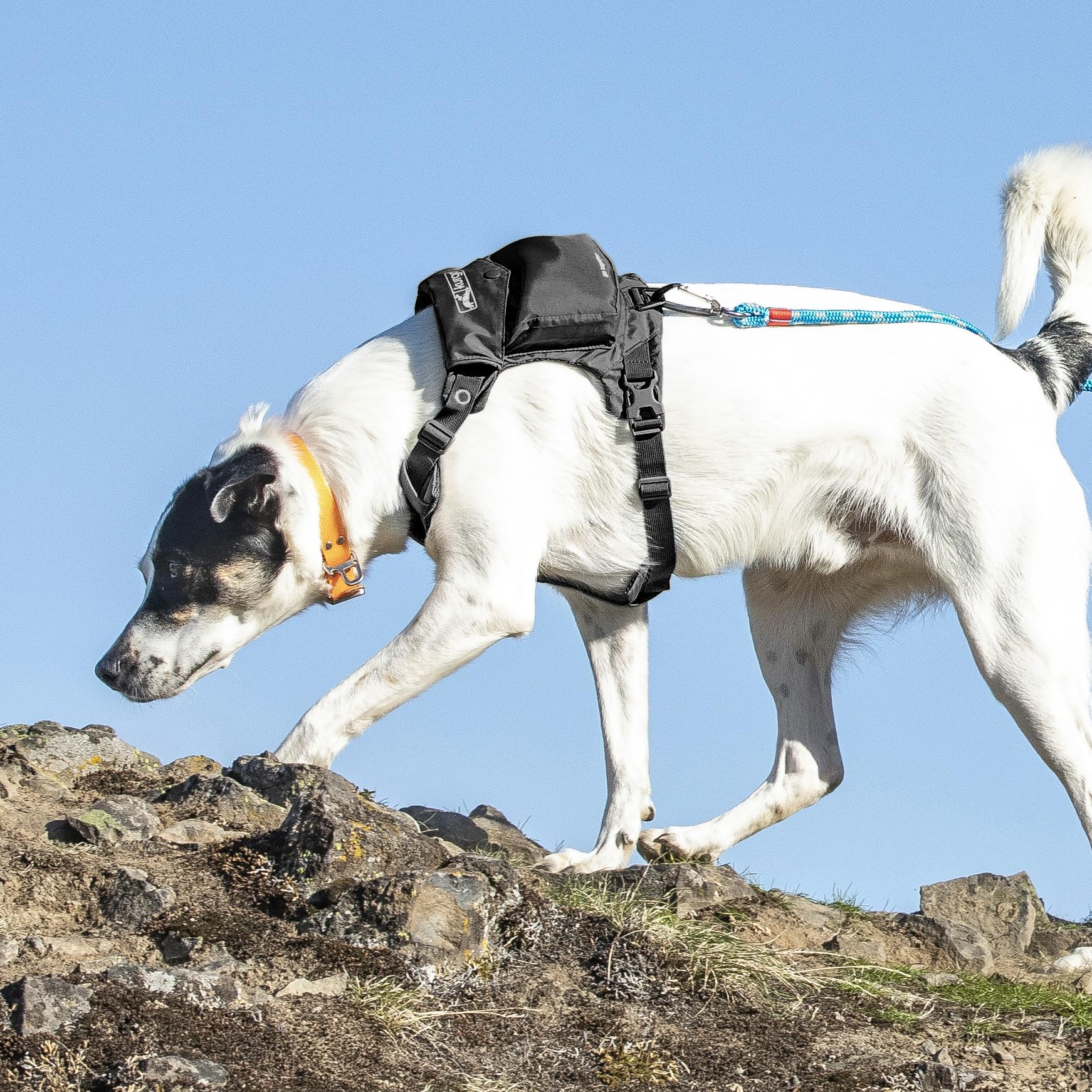 Kurgo Stash n' Dash Harness compact travel design fits bags.