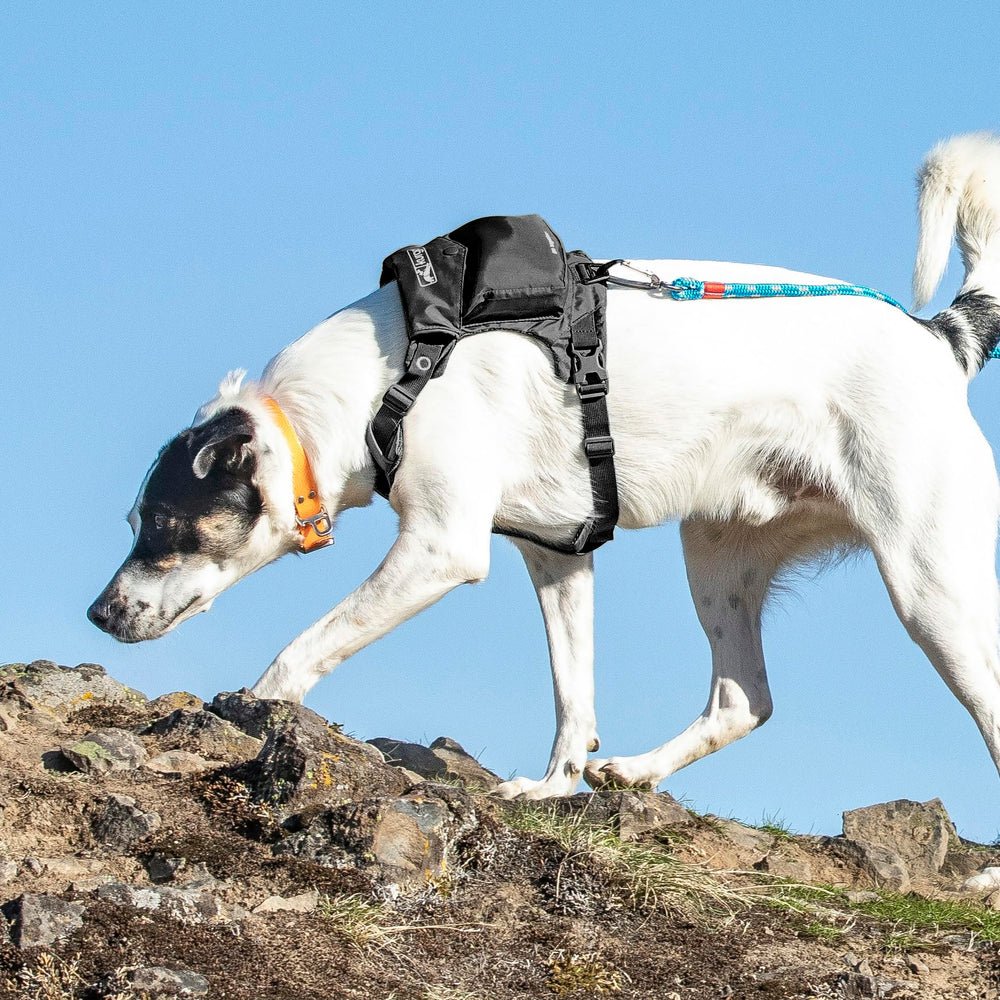 Kurgo Stash n' Dash Harness compact travel design fits bags.