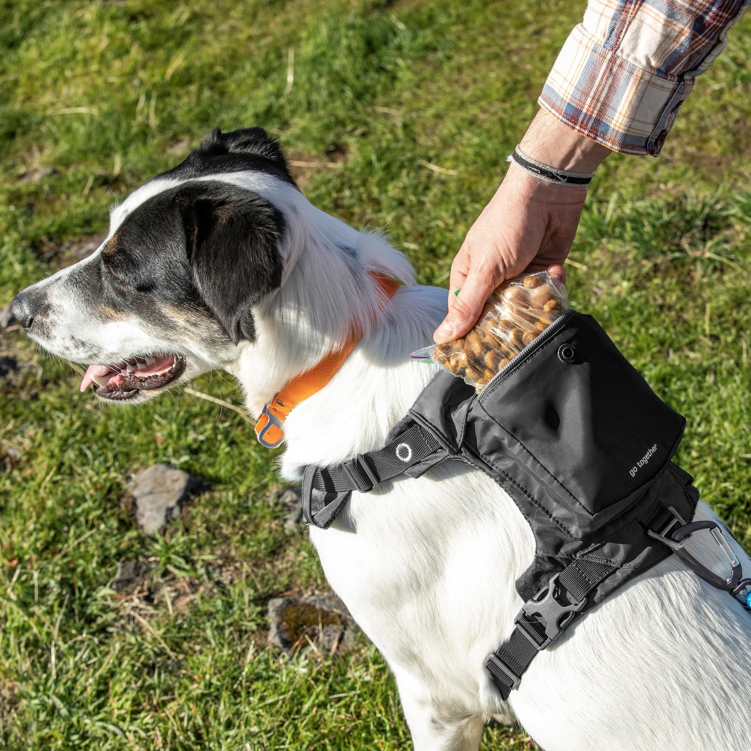 Kurgo Stash n' Dash Harness reflective trim boosts visibility.