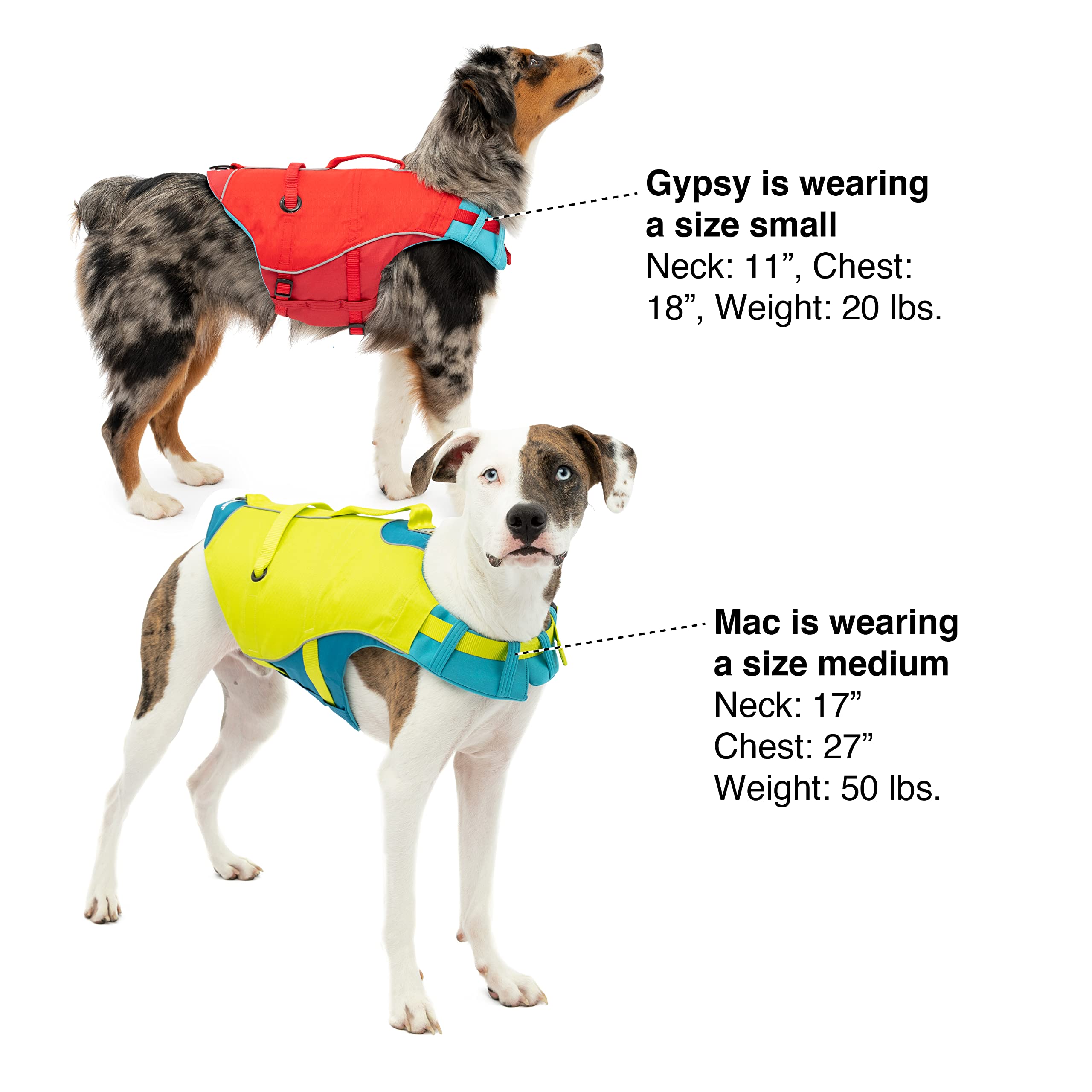Kurgo Surf n' Turf Life Jacket large size demonstrates secure fit