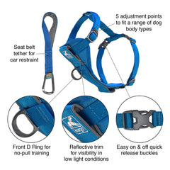 Kurgo Tru-Fit Smart Harness blue small back clip for relaxed strolling and no-pull training