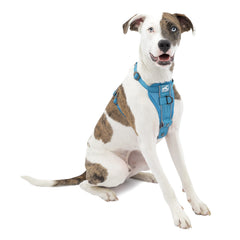 Kurgo Tru-Fit harness front view shows quick on-off design for faster daily walks.
