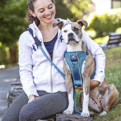Kurgo Tru-Fit reflective trim back view improves visibility for low-light strolls.