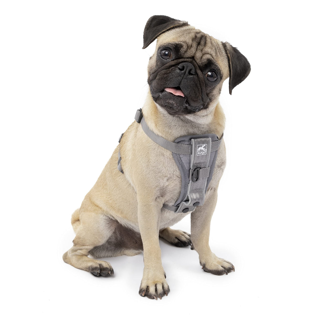 Kurgo Tru-Fit harness quick-release buckles enable fast, easy on/off.