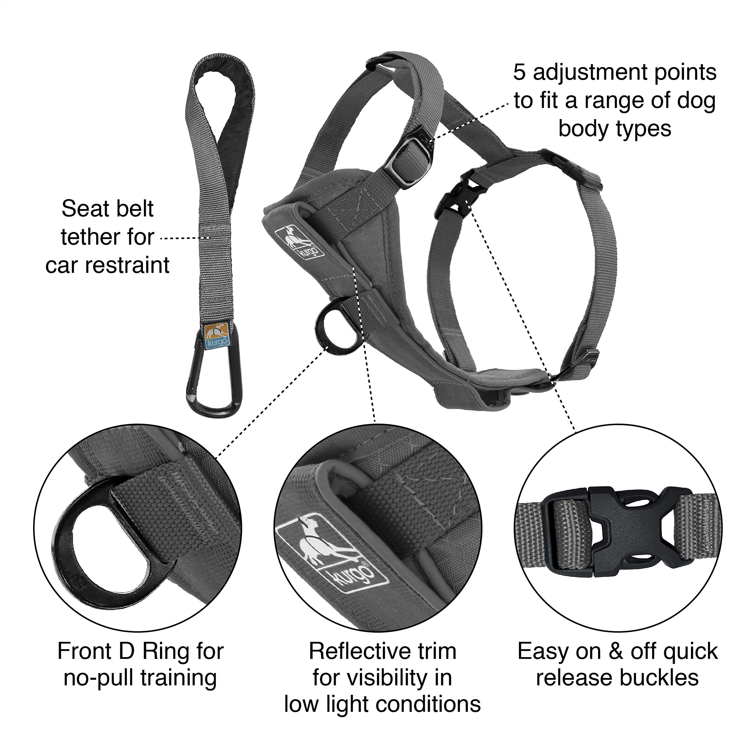 Kurgo Tru-Fit chest plate padding provides comfortable support on walks.