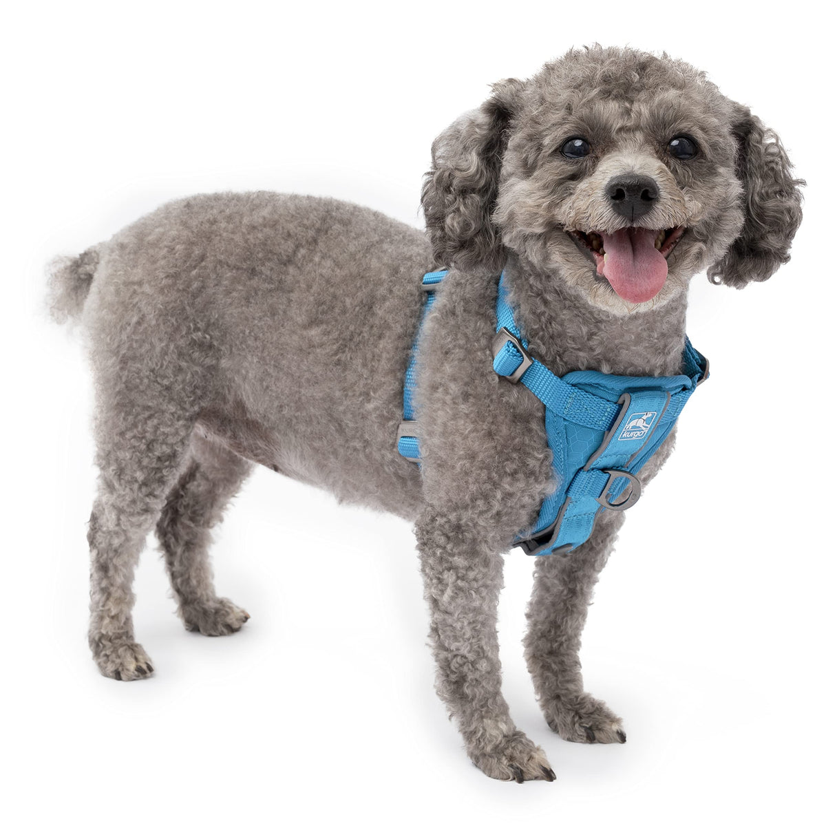 Kurgo Tru-Fit Smart Harness blue small front clip for better control during walks