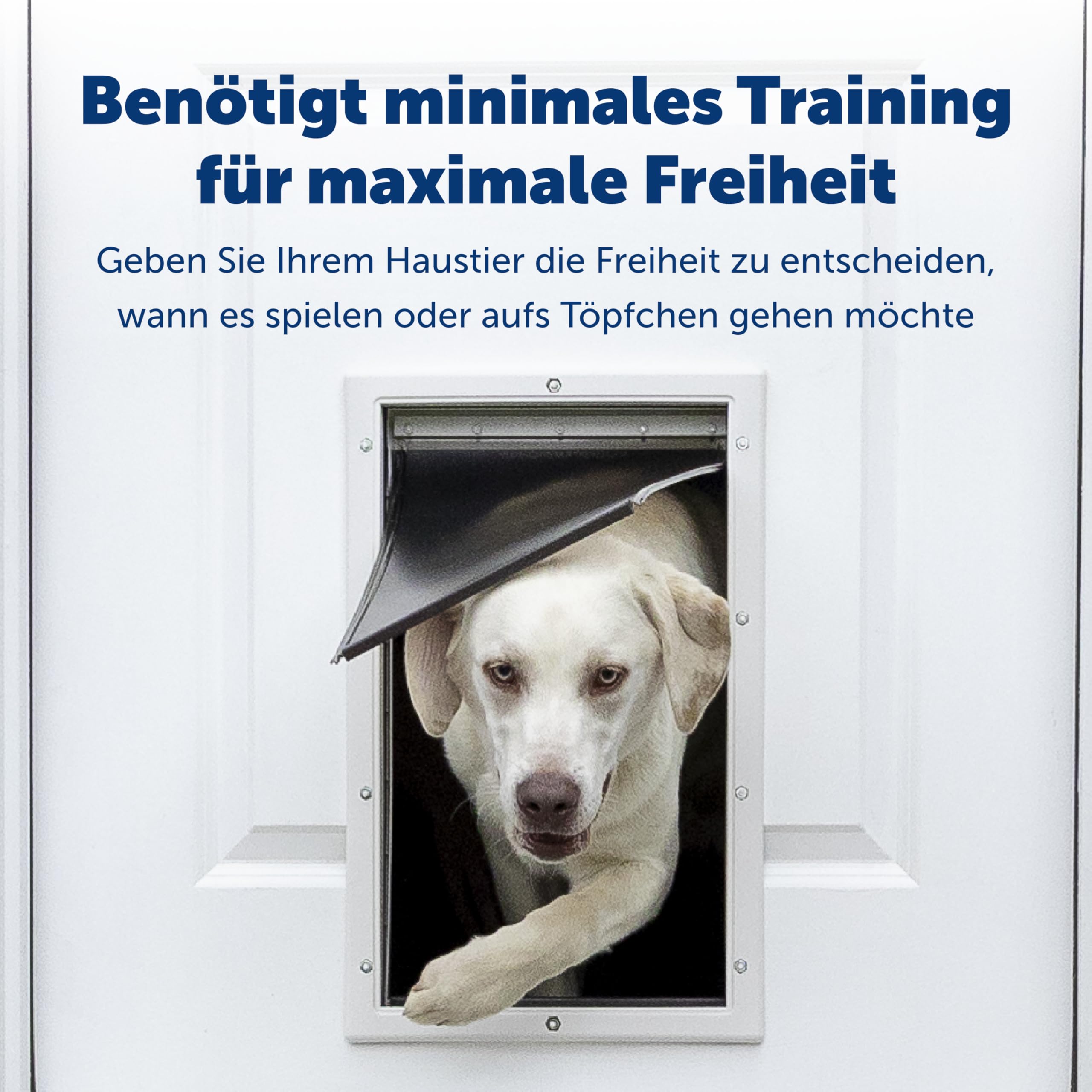 Kurgo Tru-Fit front-leash-attachment offers no-pull training flexibility