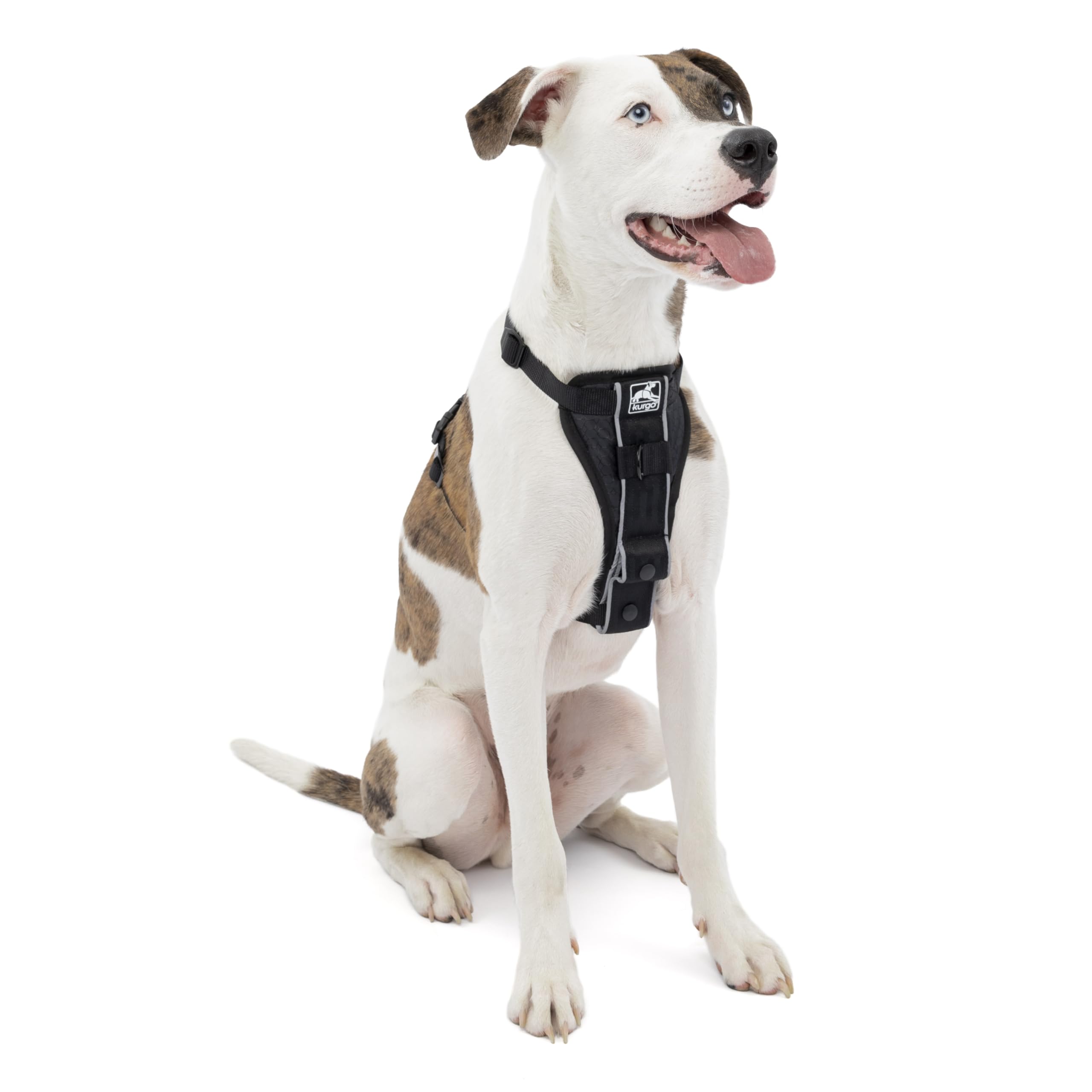 Kurgo Tru-Fit harness front view showing quick-release setup for fast, hassle-free outings