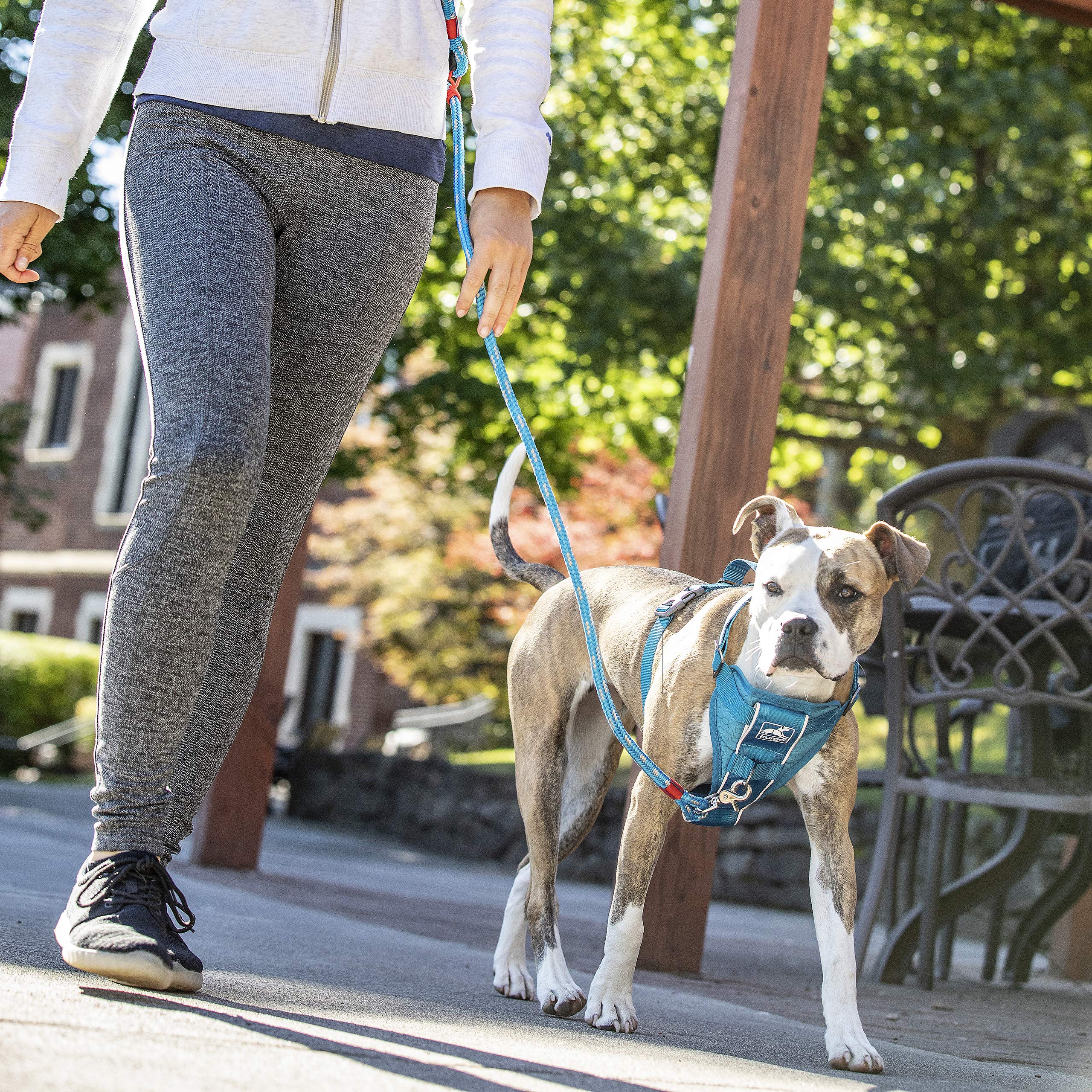 Kurgo Tru-Fit Smart Harness blue small padded chest for comfortable pressure distribution