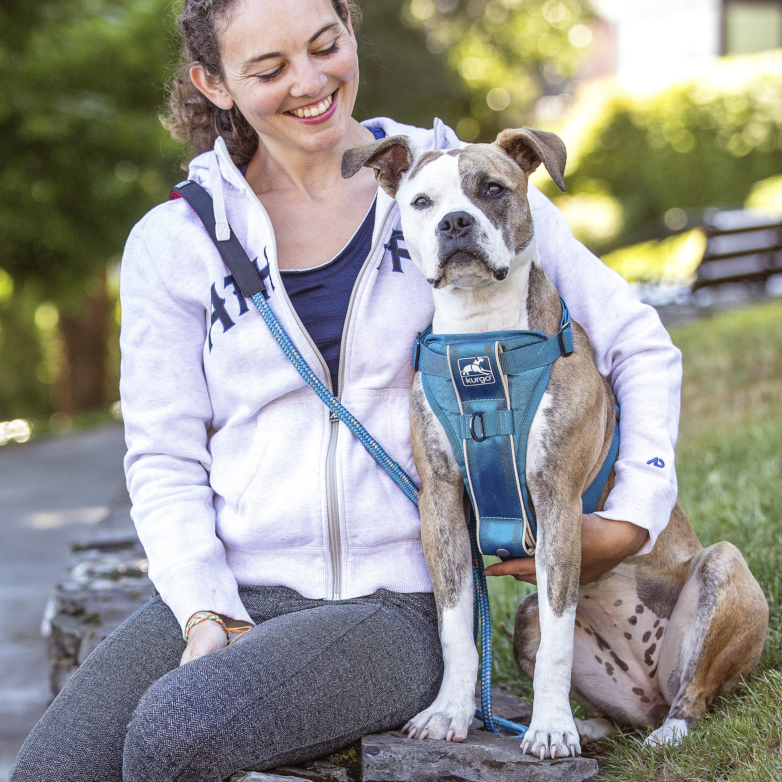 Kurgo Tru-Fit Smart Harness blue small reflective trim for low-light visibility
