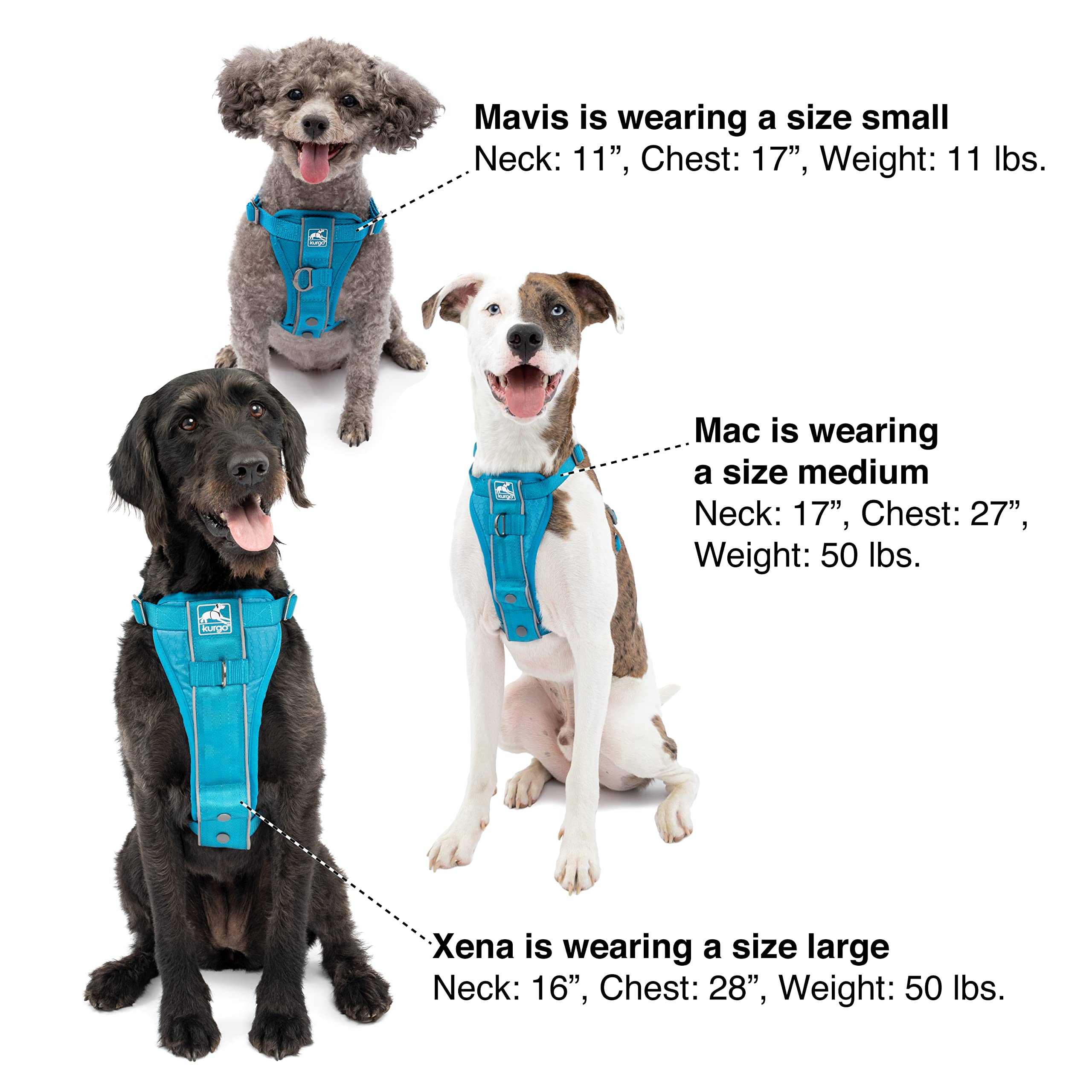 Kurgo Tru-Fit Smart Harness blue small seatbelt loop for car safety