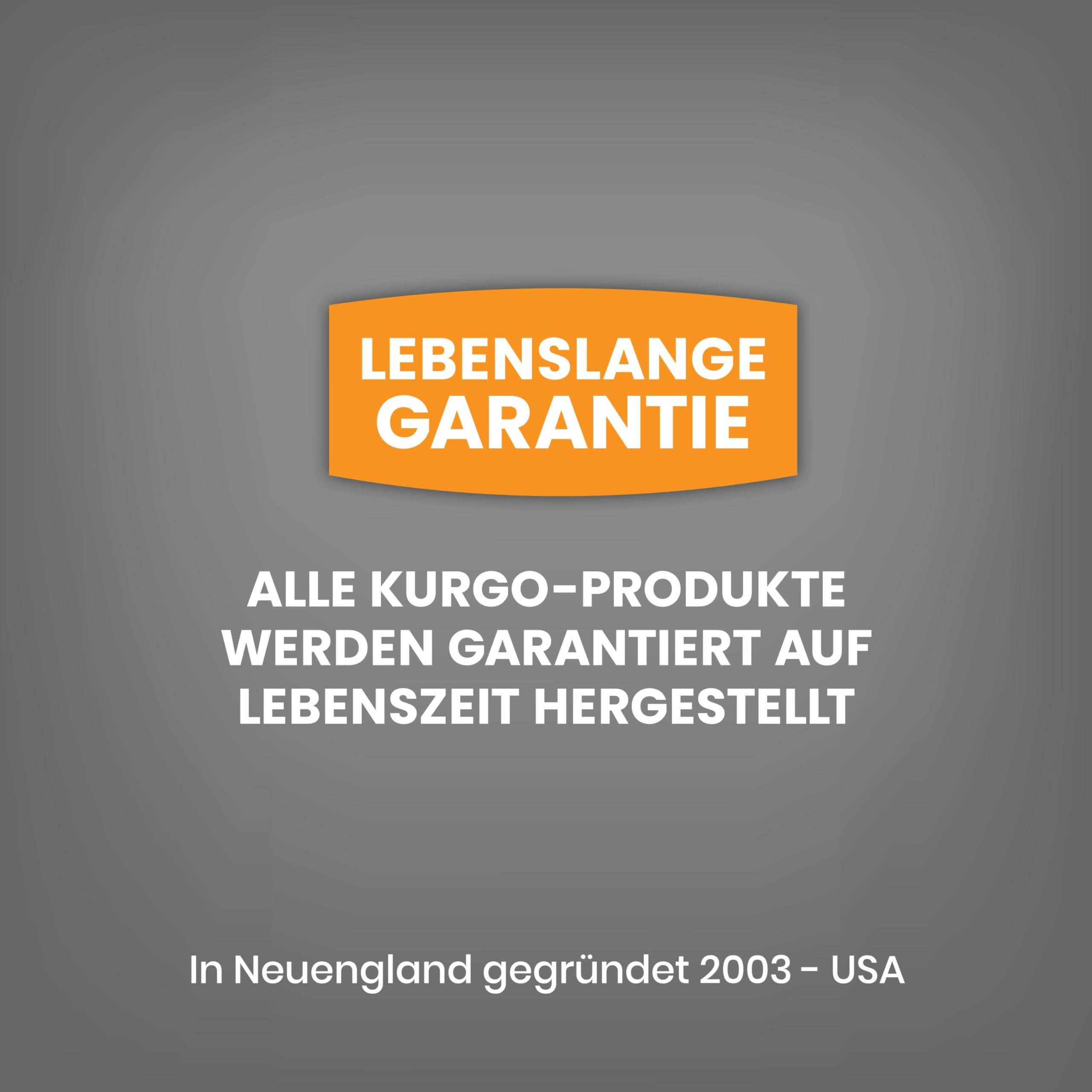Kurgo Tru-Fit with seatbelt loop shows safe car travel option