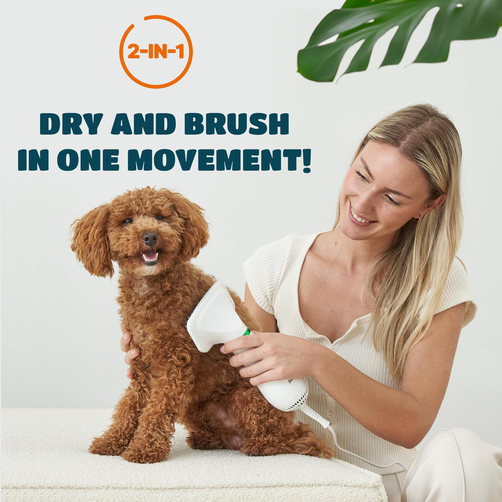 KUUBIA small-dog dryer warms during brushing for quick grooming sessions