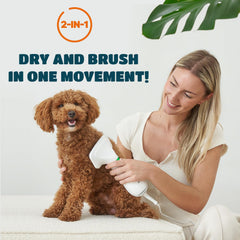 KUUBIA small-dog dryer warms during brushing for quick grooming sessions