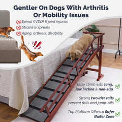 KUVETO ramp with removable rails demonstrates enhanced safety and guided ascent.
