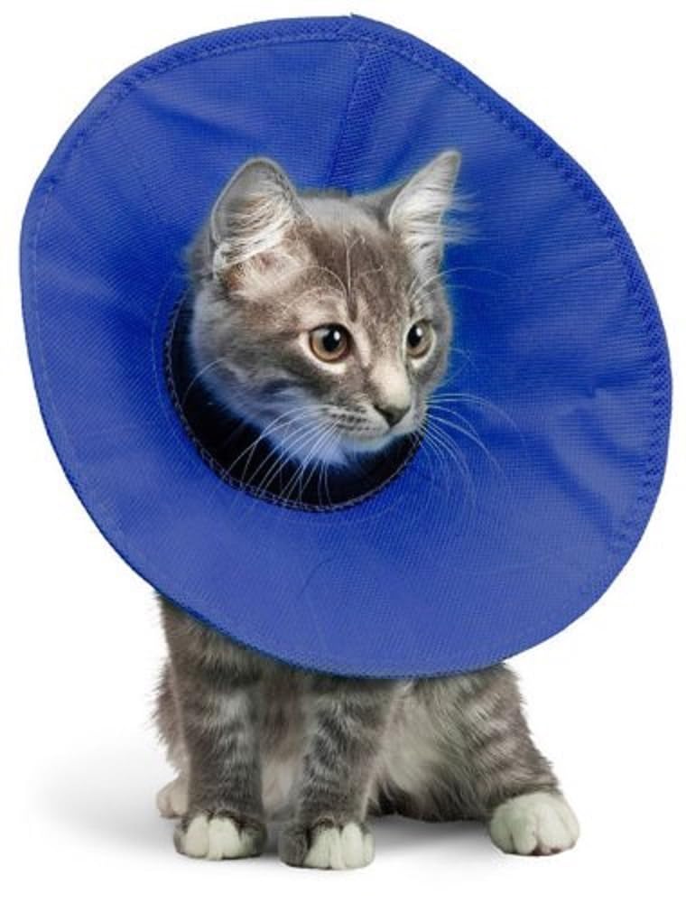 KVP EZ Soft collar on-pet view shows lightweight, tear-resistant fabric