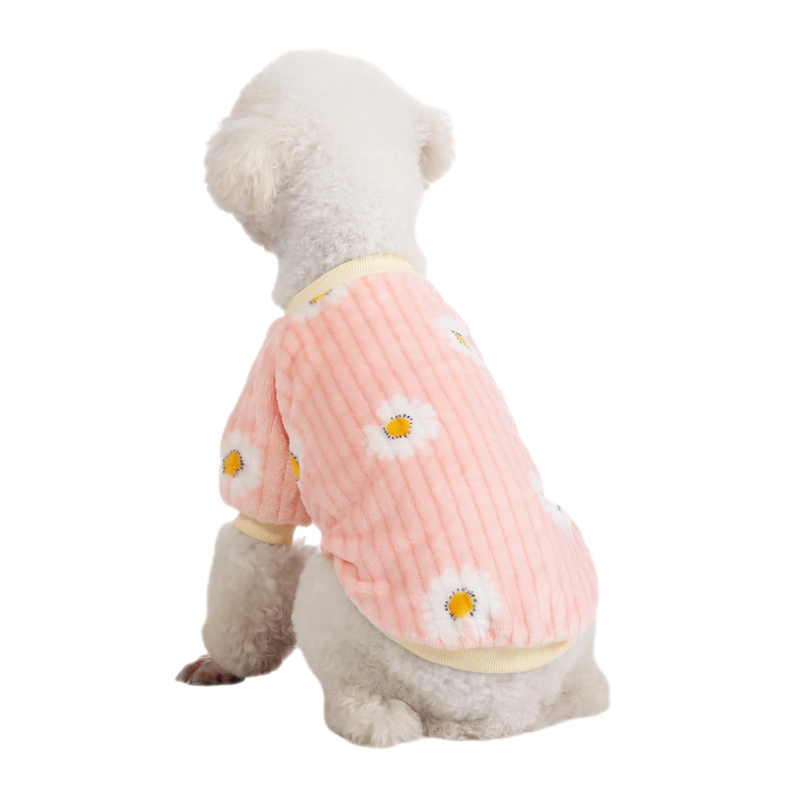 Kyaringtso dog sweater with elastic-under-belly design for easy wearing.