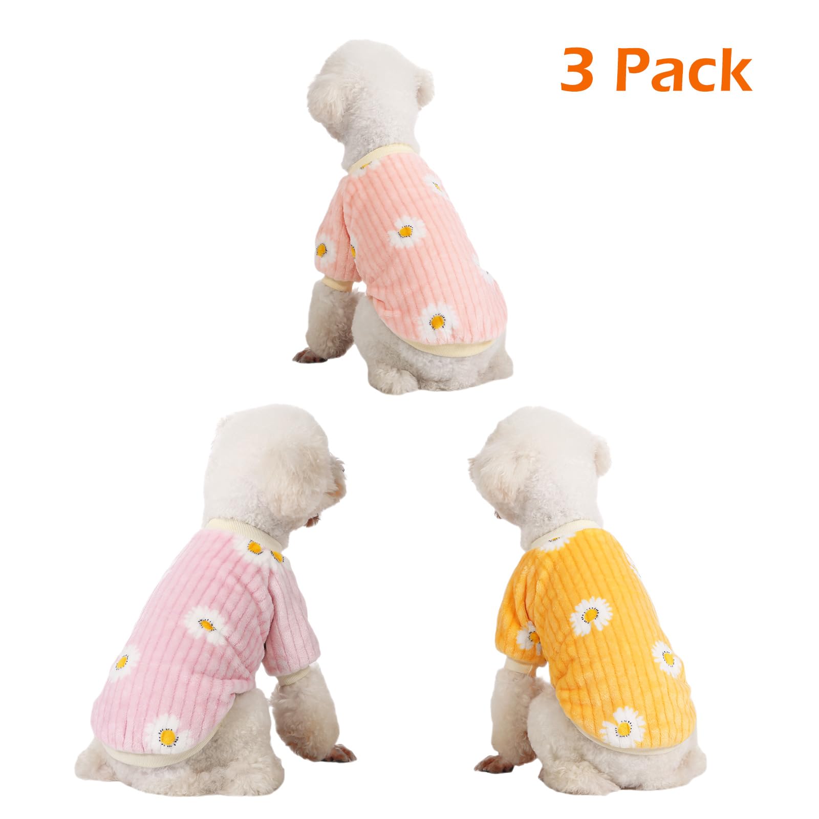 Kyaringtso dog sweater on a small dog demonstrates snug neck, chest, and belly wrap.