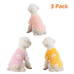 Kyaringtso dog sweater on a small dog demonstrates snug neck, chest, and belly wrap.