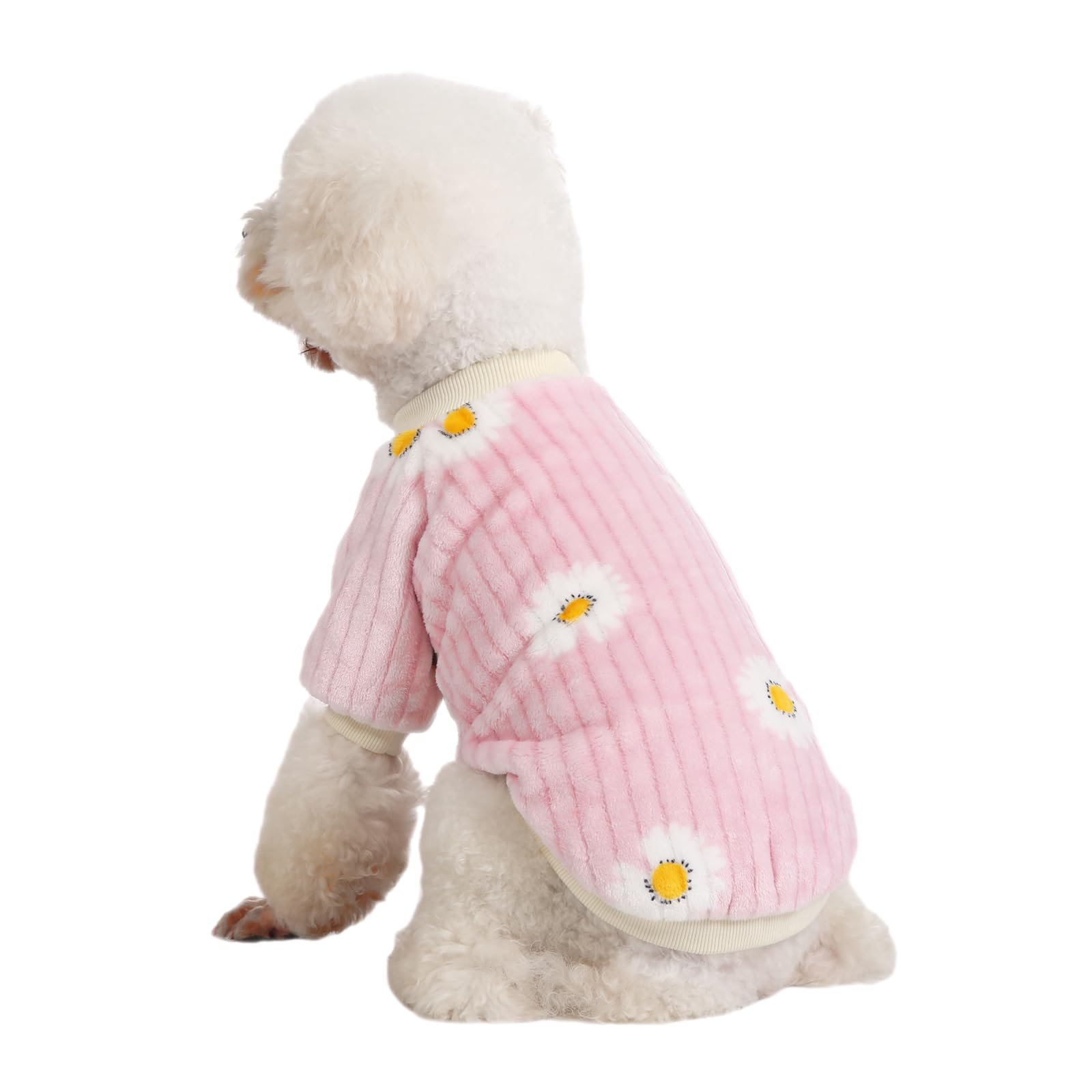 Kyaringtso XS size chart highlights precise sizing for tiny dogs.