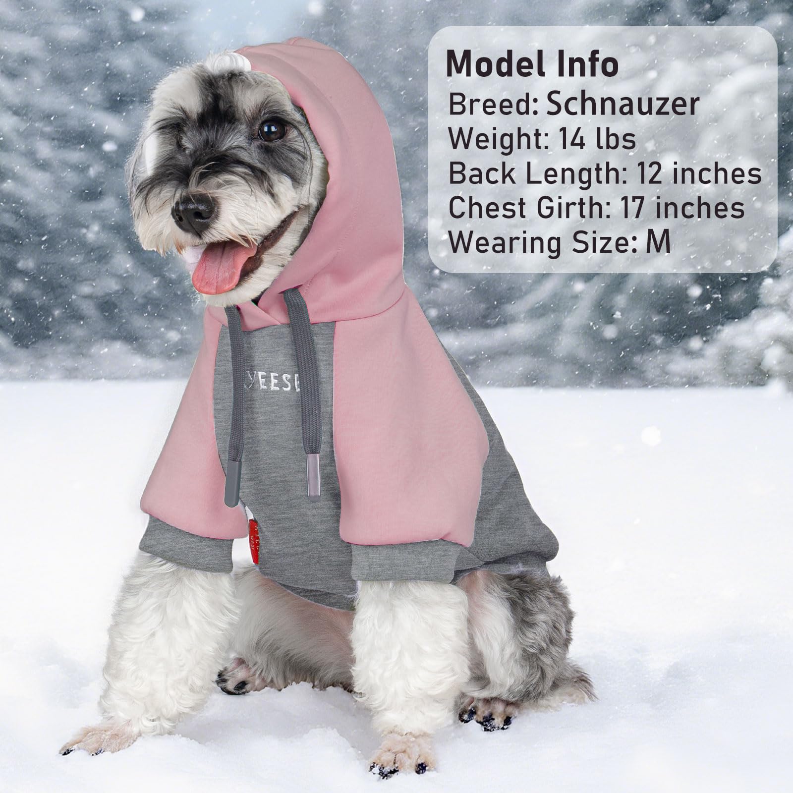 kyee-dog-hoodie-heart-embroidery detail adds fashionable charm