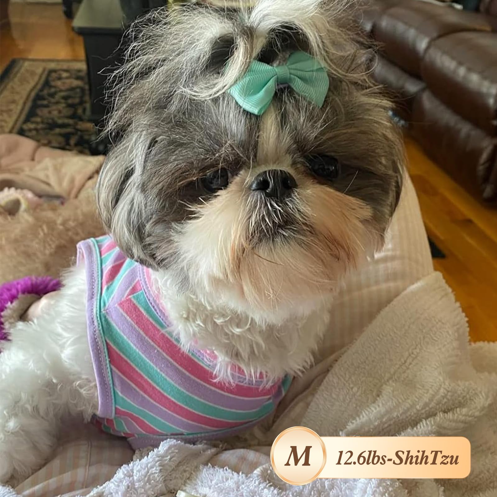 KYEESE pink striped dog vest combination adds cute style for outings