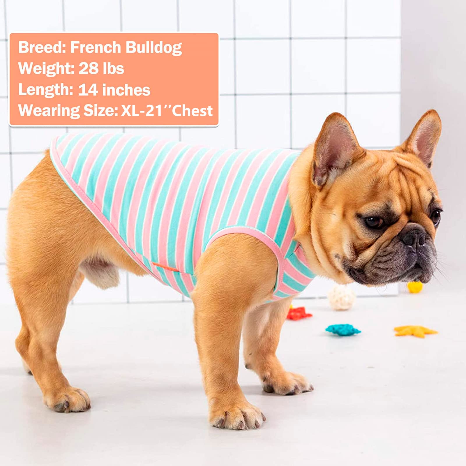 KYEESE small-dog shirt set offers lightweight wardrobe option
