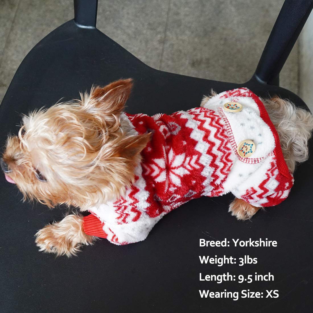KYEESE dog pajama set enhances festive photo moments.
