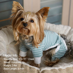 KYEESE stretch neckline shows effortless dressing for pets.
