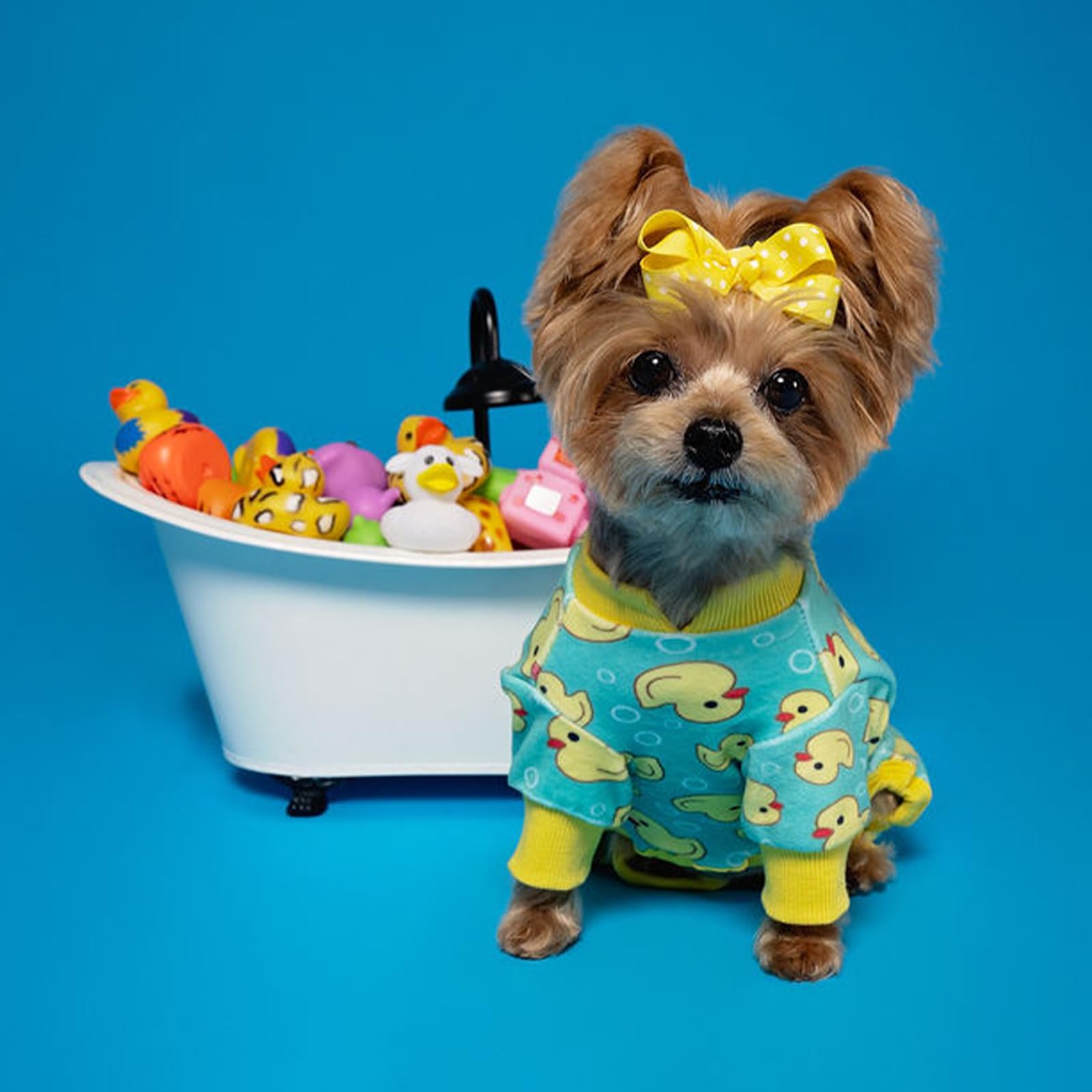 KYEESE stretchy velvet texture supports comfortable movement in small dogs.