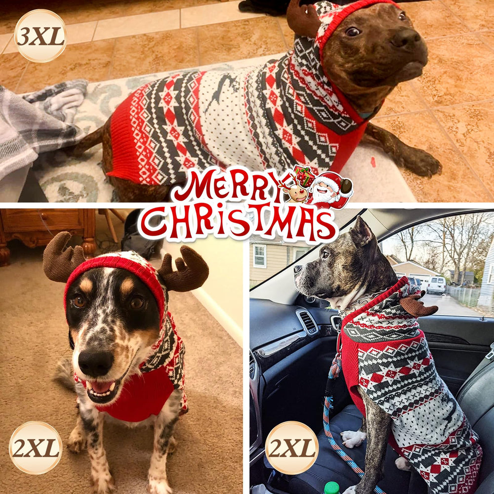 KYEESE front-view dog wearing sweater shows festive style and comfort.