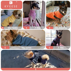 KYEESE high-cut belly design prevents mess and eases potty breaks