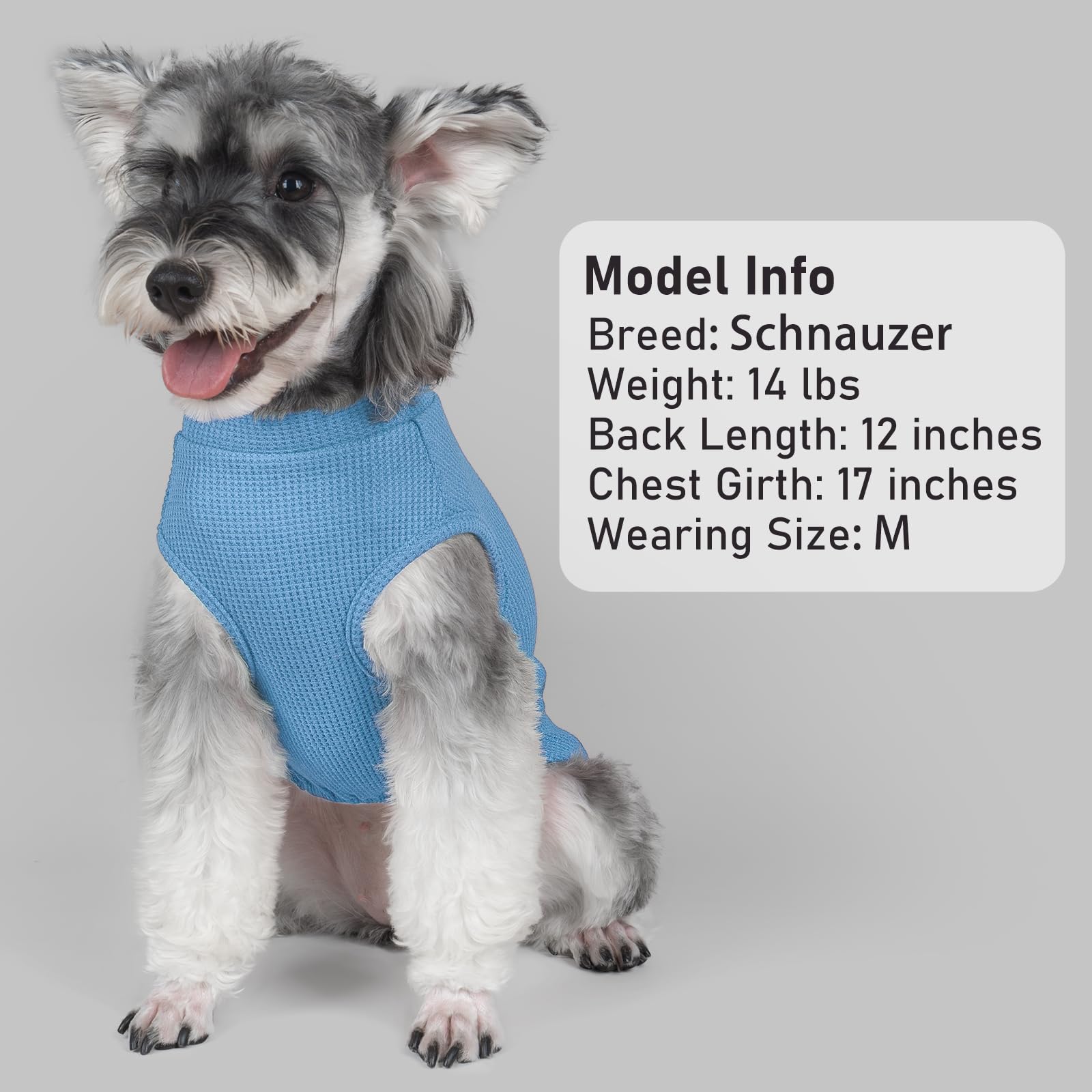 KYEESE blue striped shirts pack suited for matching small-dog outfits