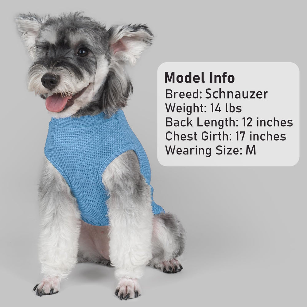 KYEESE blue striped shirts pack suited for matching small-dog outfits