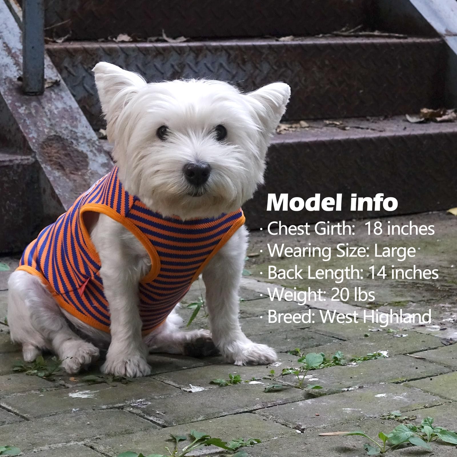 KYEESE 2Pack dog shirts striped orange-green color-variation for versatile styling