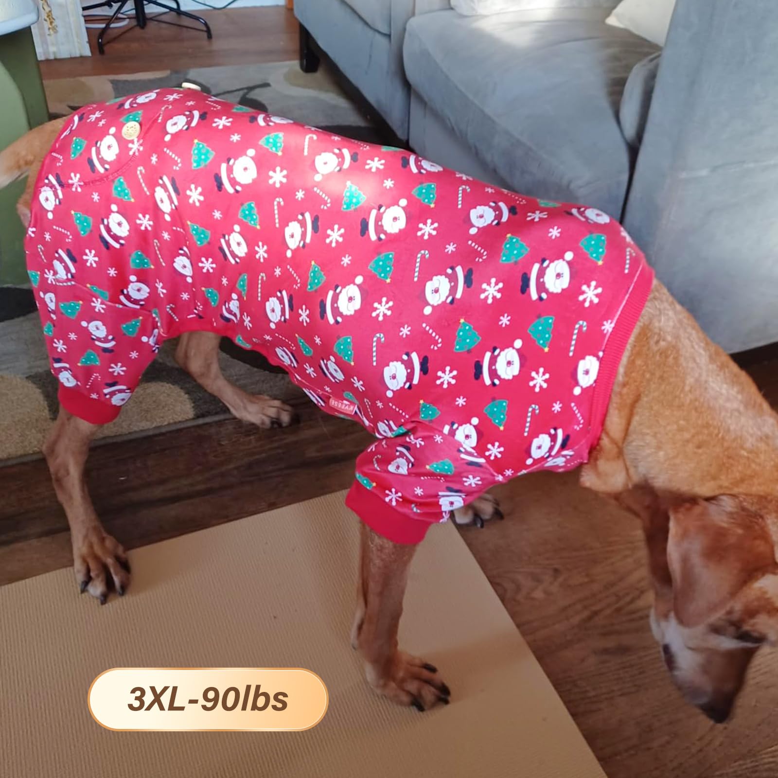 Kyeeese Christmas dog pajamas family shot with pet in festive sleepwear
