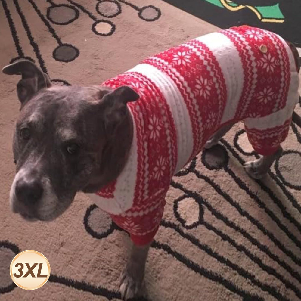 KYEESE dog Christmas pajamas cozy couch lounging during holidays